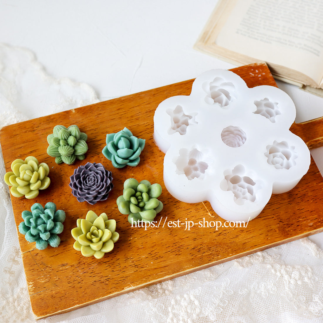 7 types of Succulents