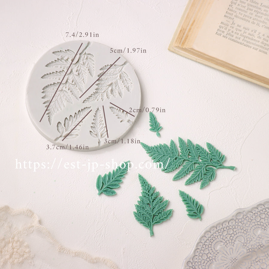 ☆Fern