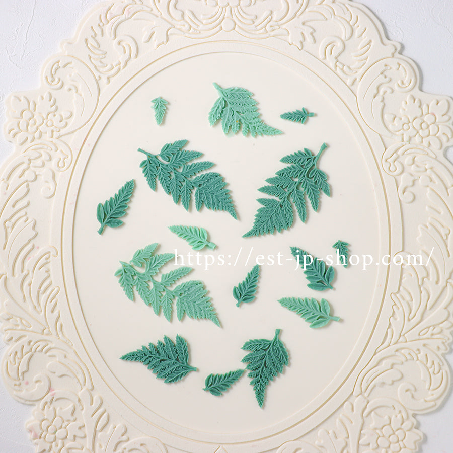 ☆Fern