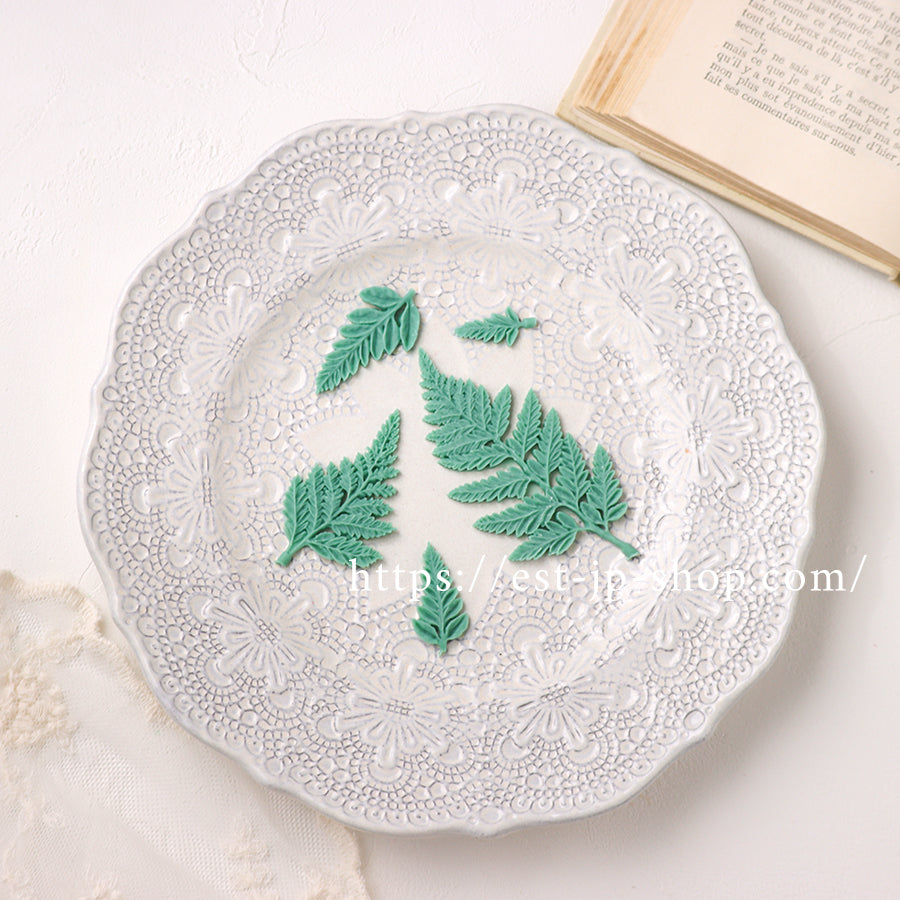 ☆Fern
