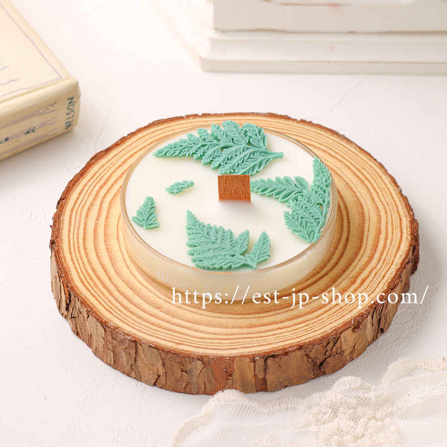 ☆Fern
