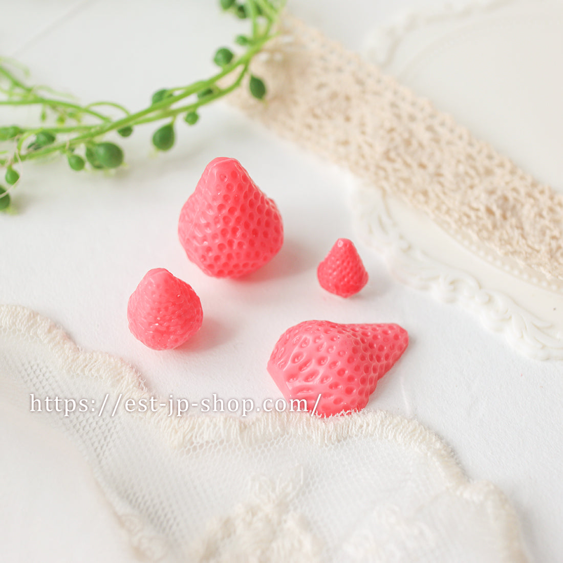 Set of 4 types of strawberries