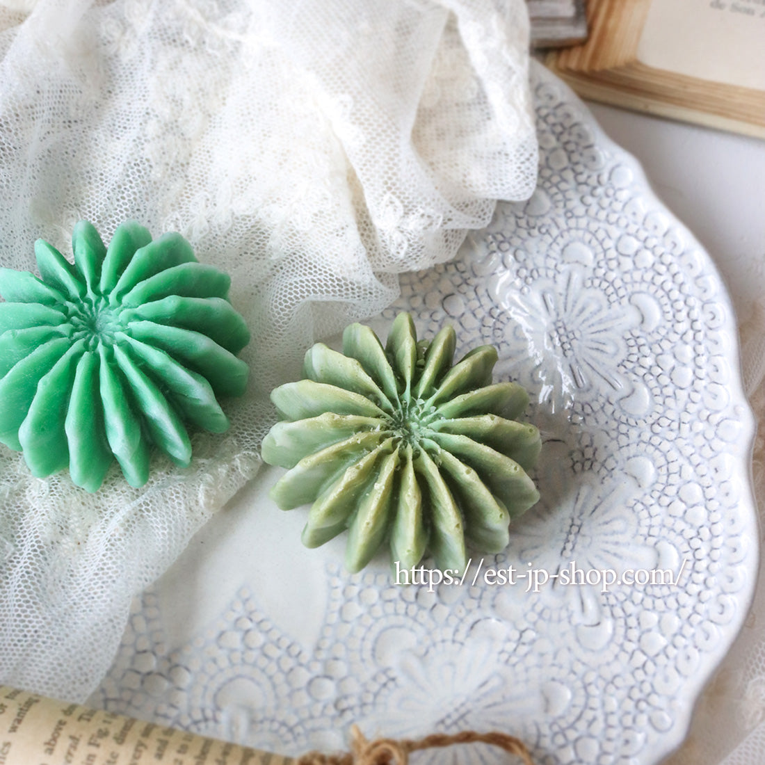 Echinopsis Subdenudata