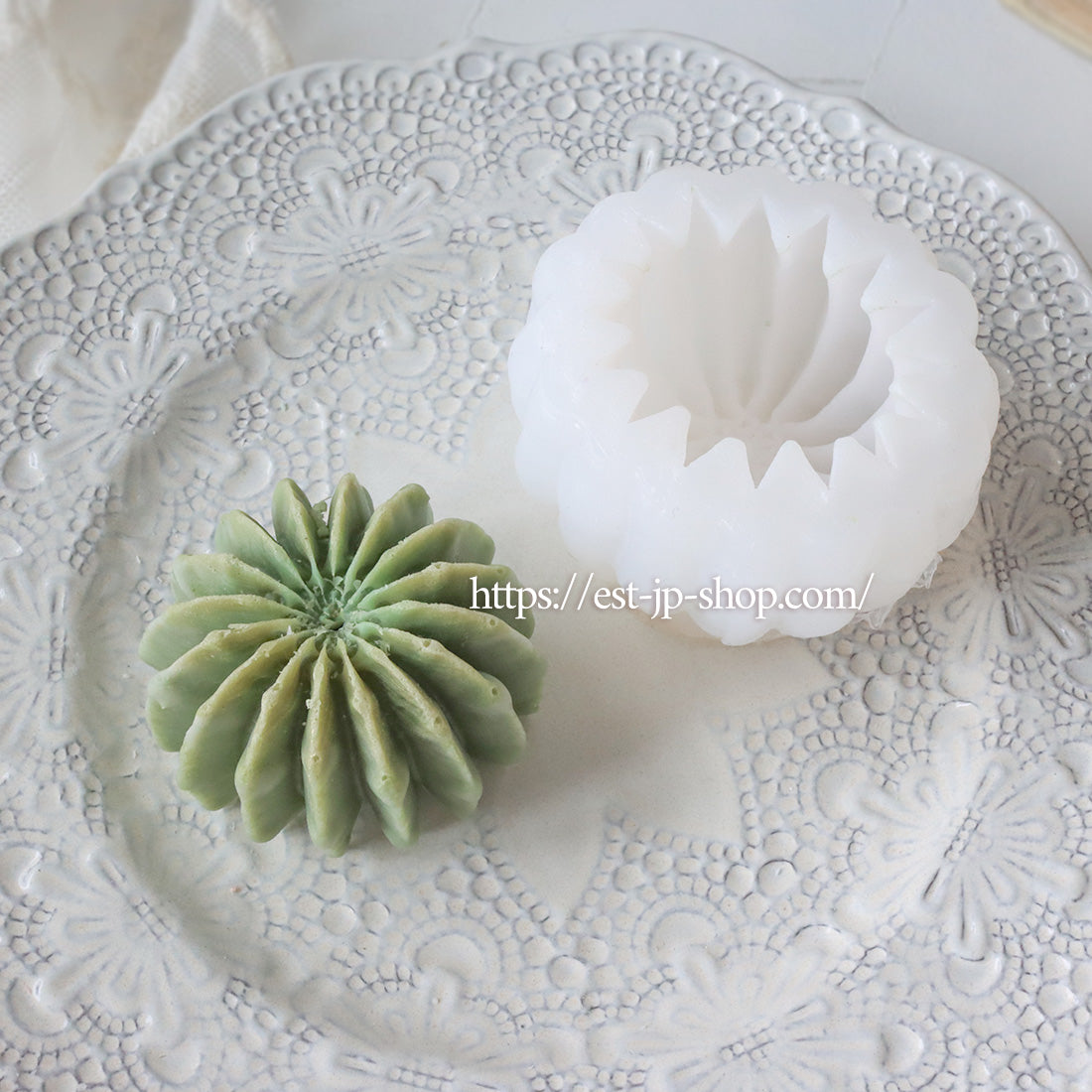 Echinopsis Subdenudata