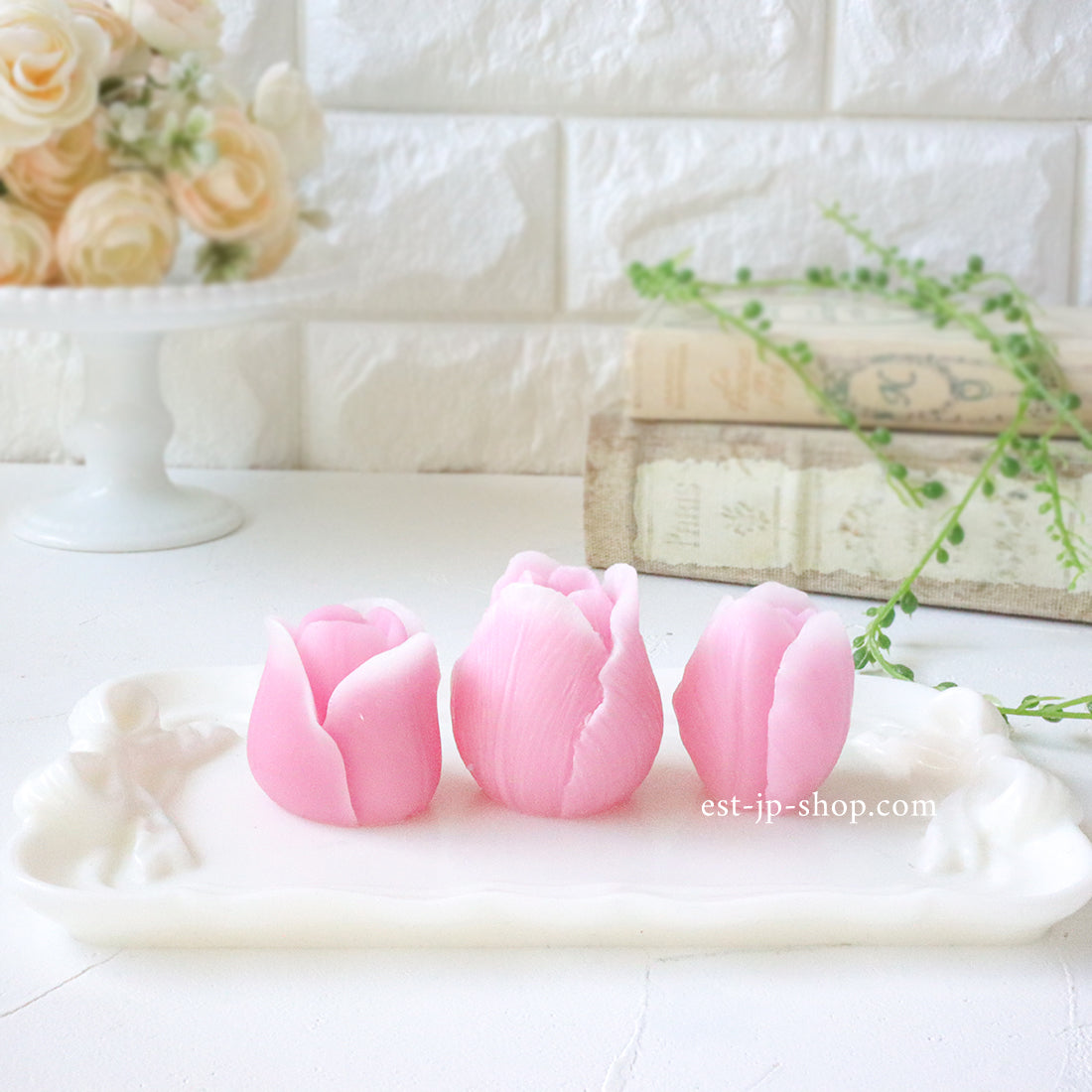 チューリップ(3種)