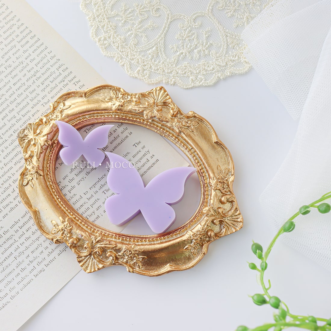 Butterfly ☆