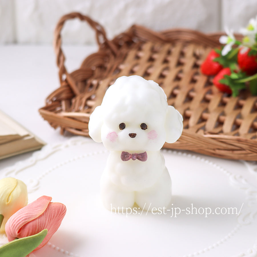 ☆Bichon Frise
