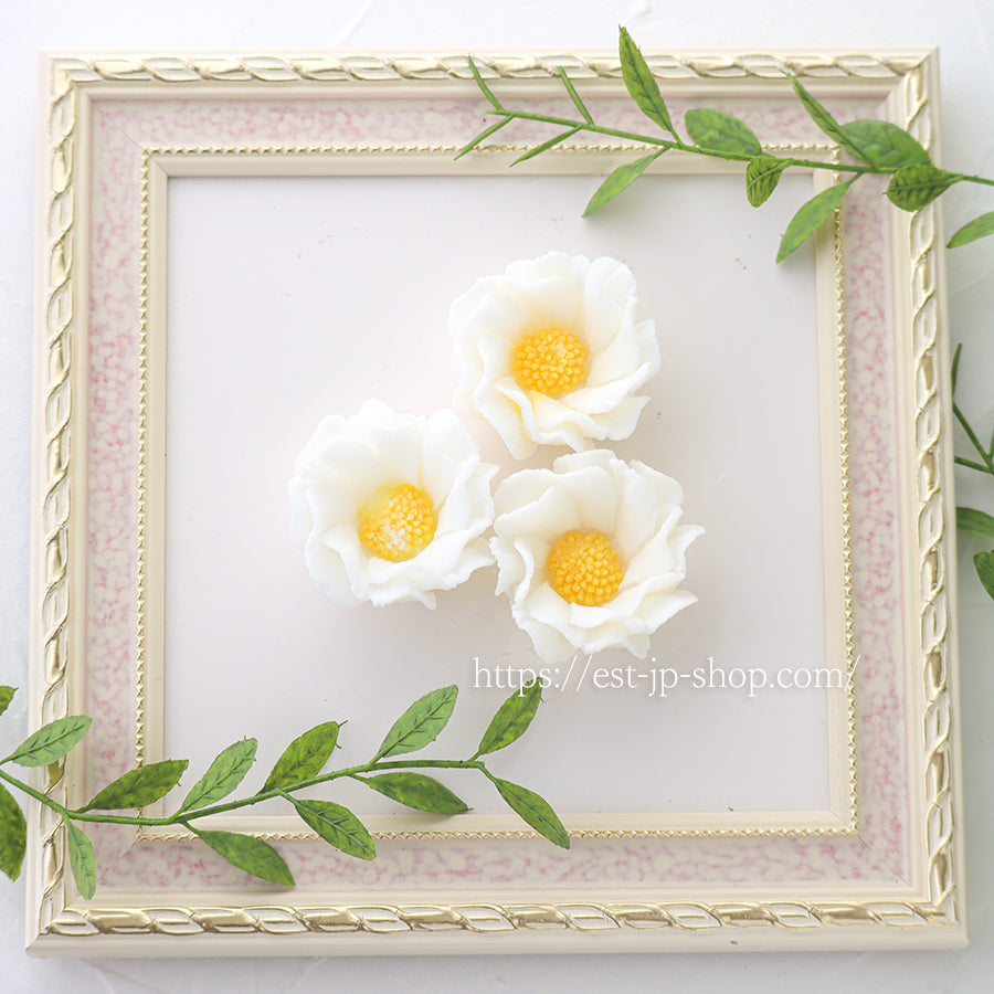 Flower(I)