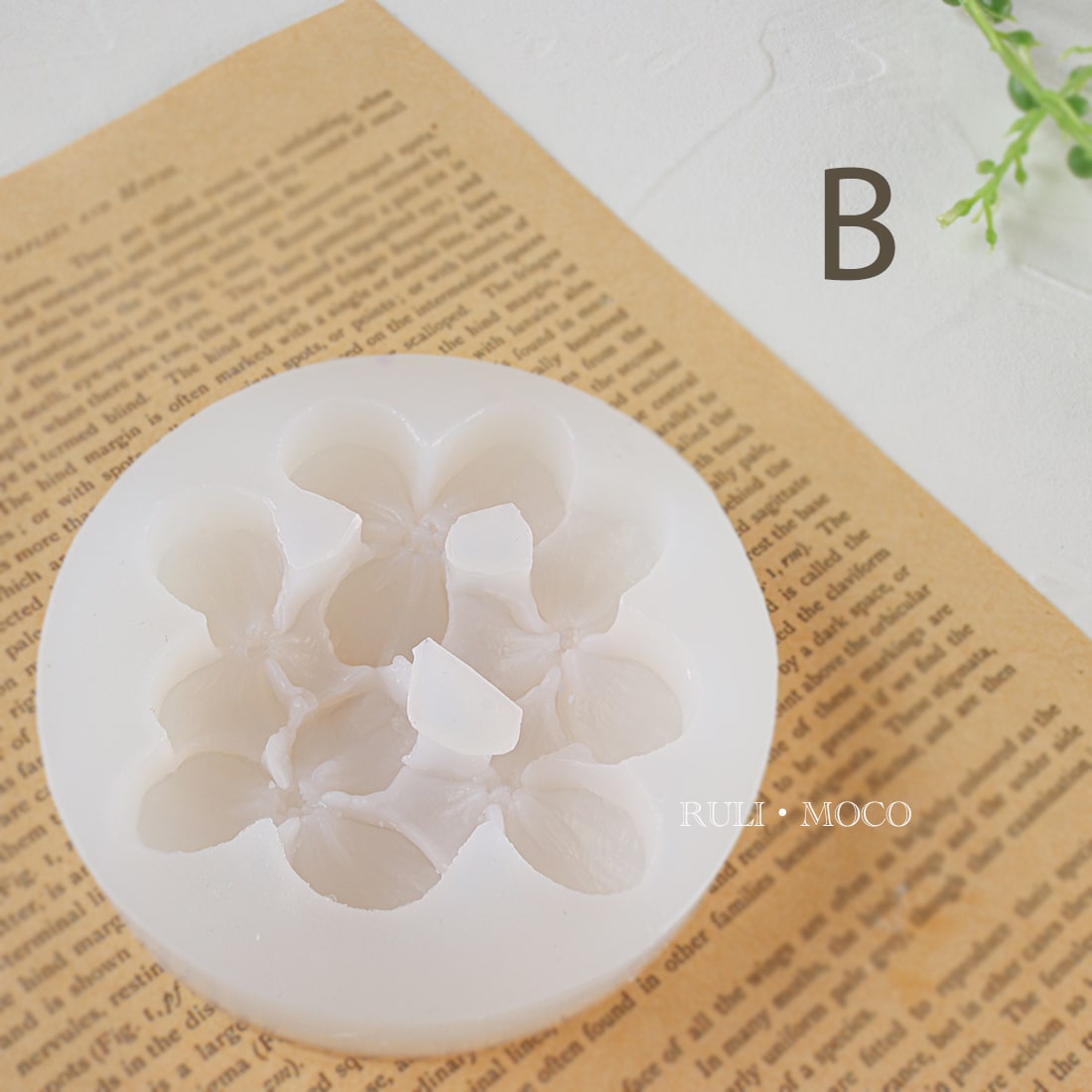 紫陽花(2タイプ)