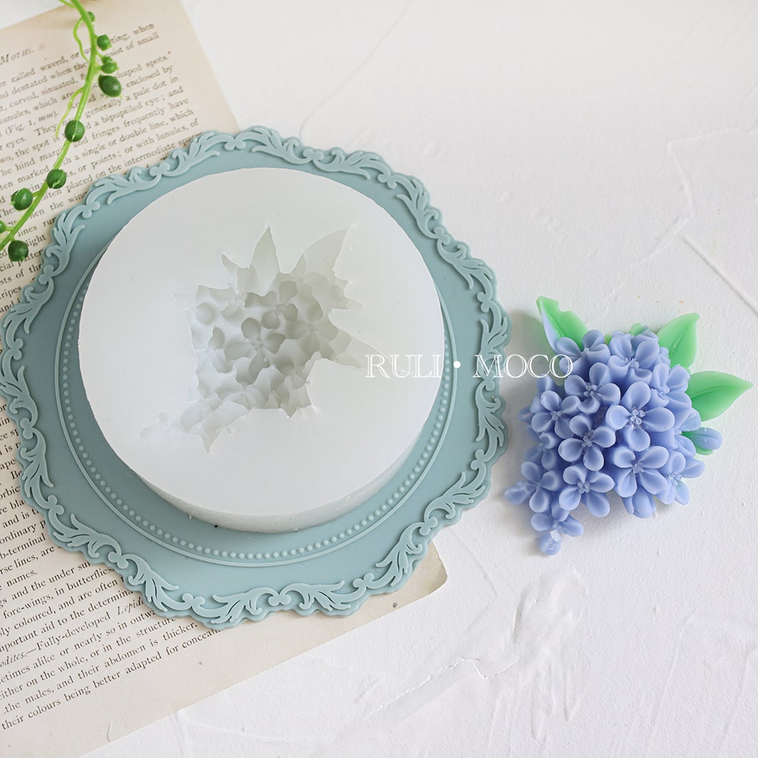 ピラミッドアジサイ