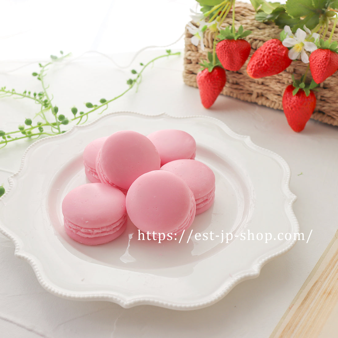 6 individual macarons (3.3cm, 3.7cm)