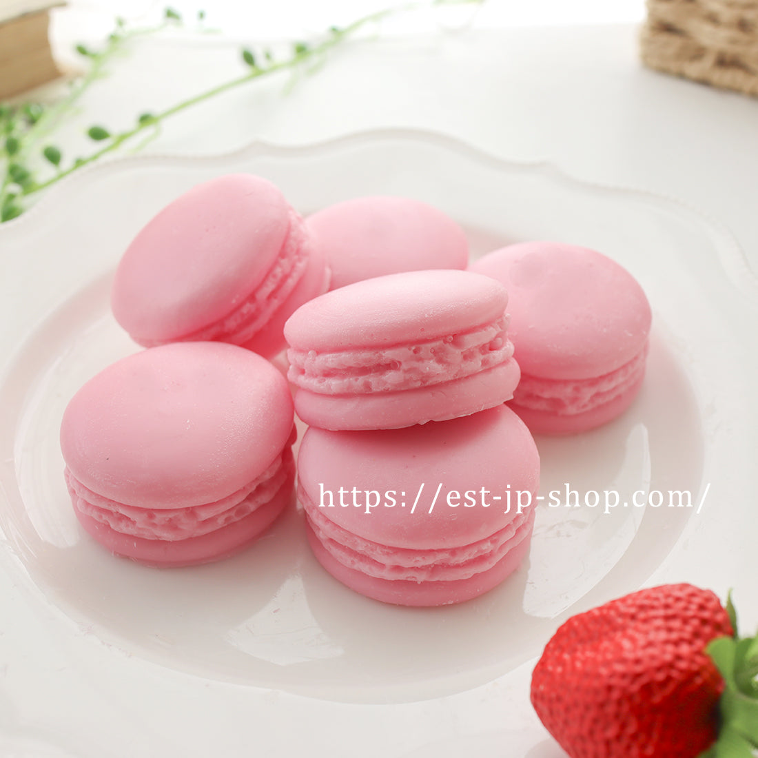 6 individual macarons (3.3cm, 3.7cm)