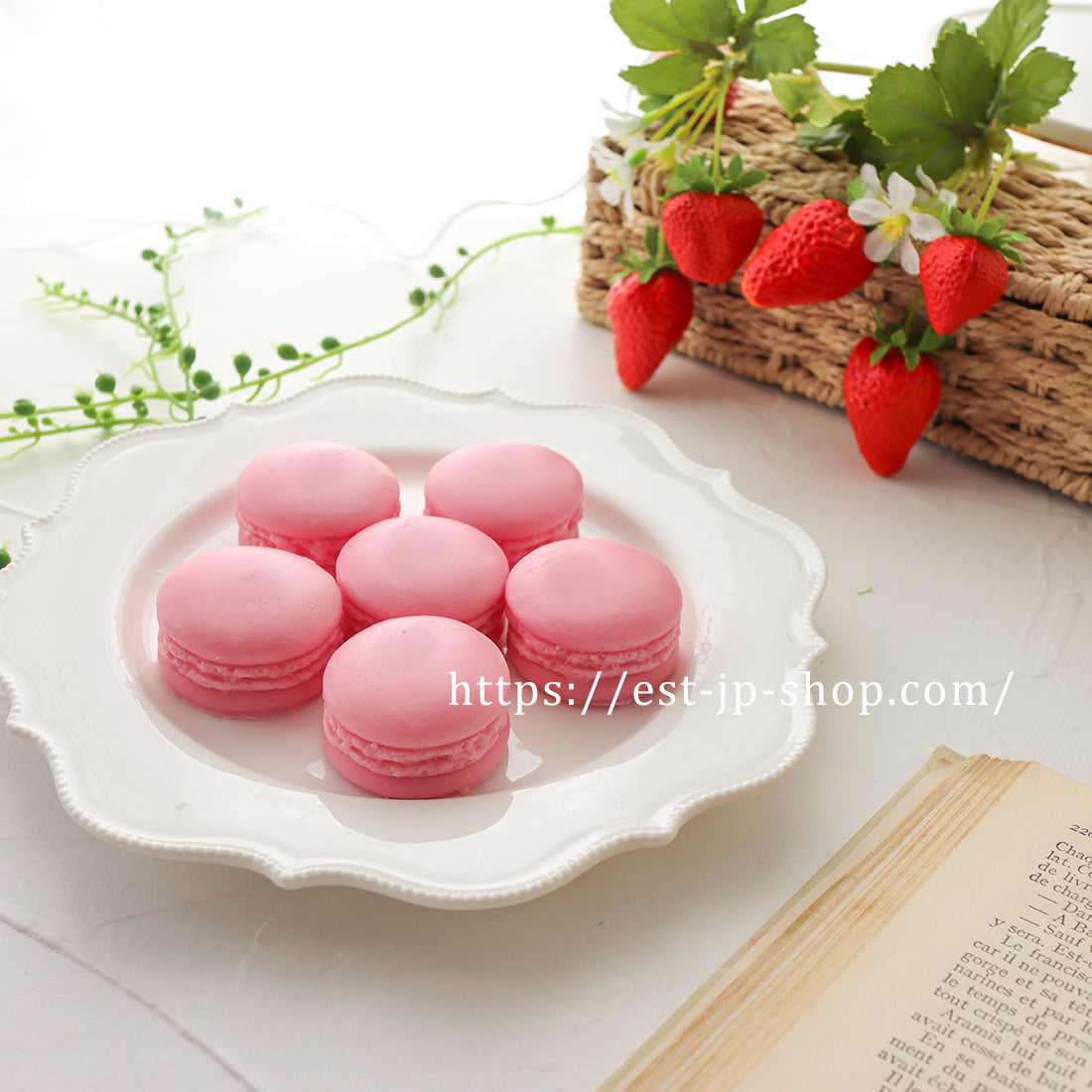 6 individual macarons (3.3cm, 3.7cm)