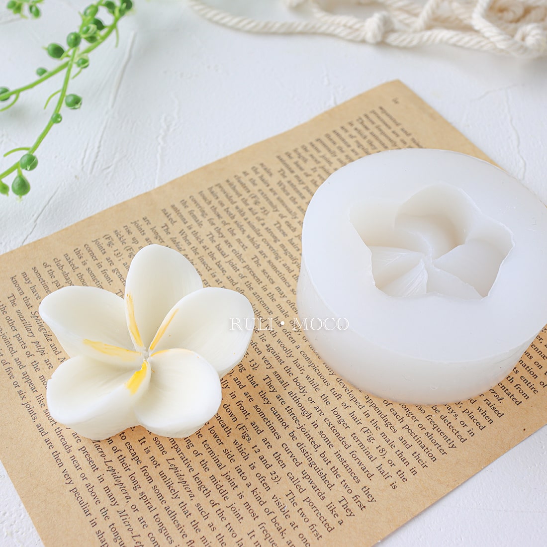 シンプルなプルメリア