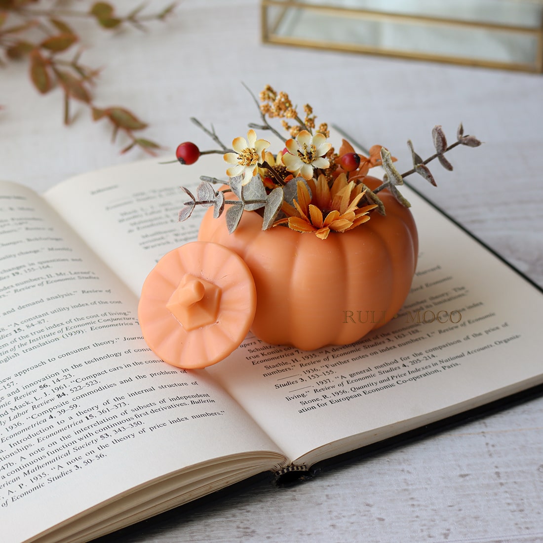 Pumpkin-Shaped Case