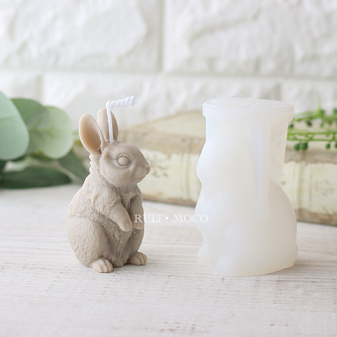 立ち姿ラビット