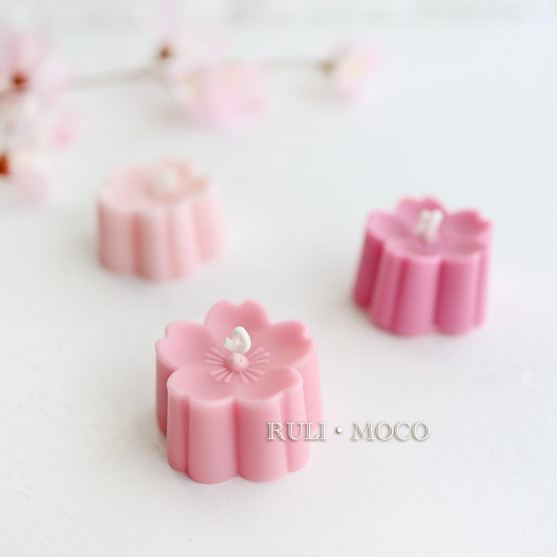 桜(シングル)【B】