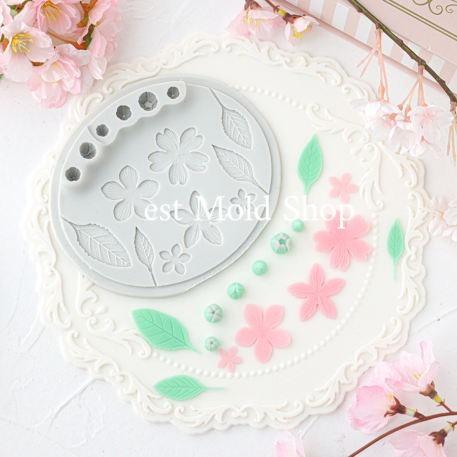 桜のつぼみと花