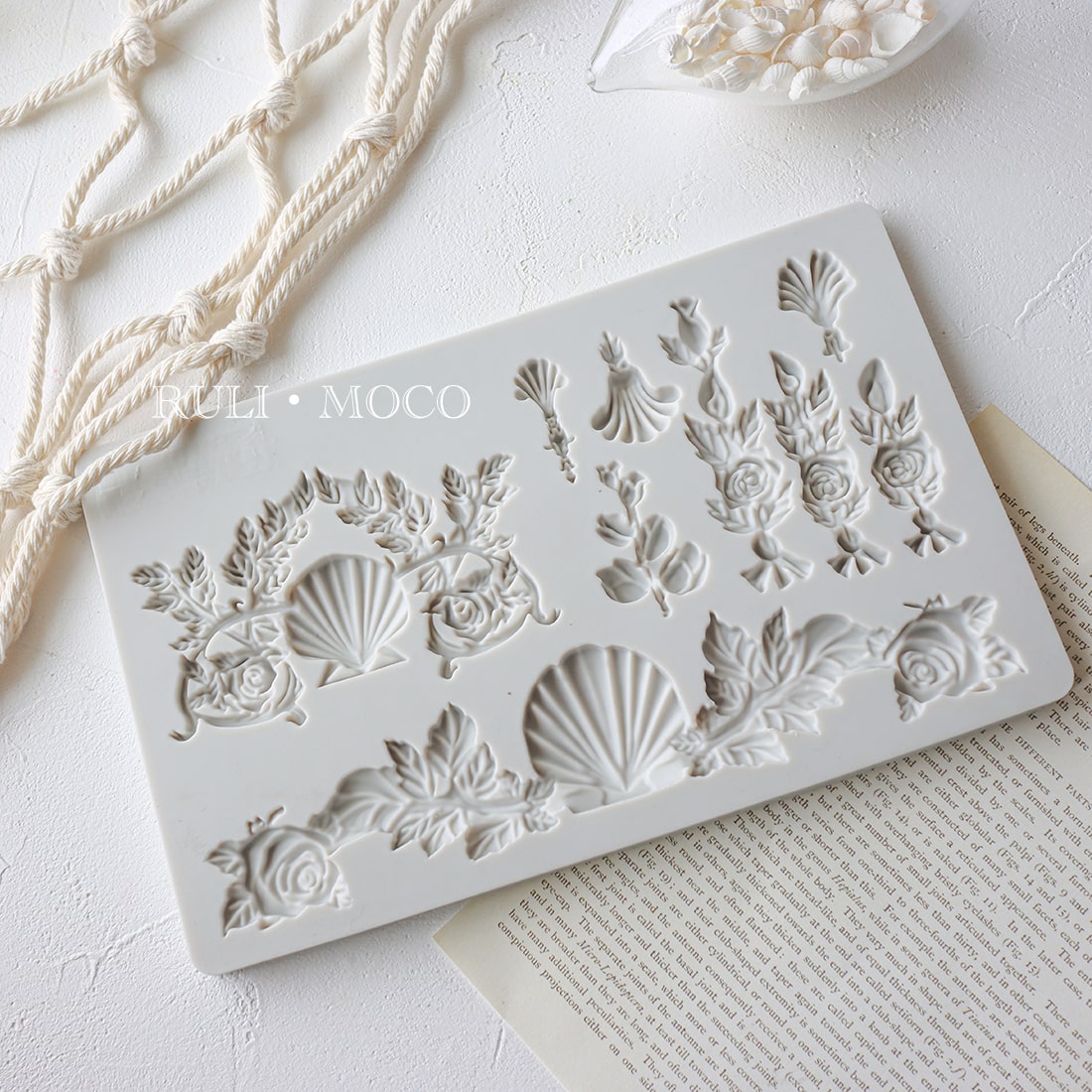 Large shell decoration