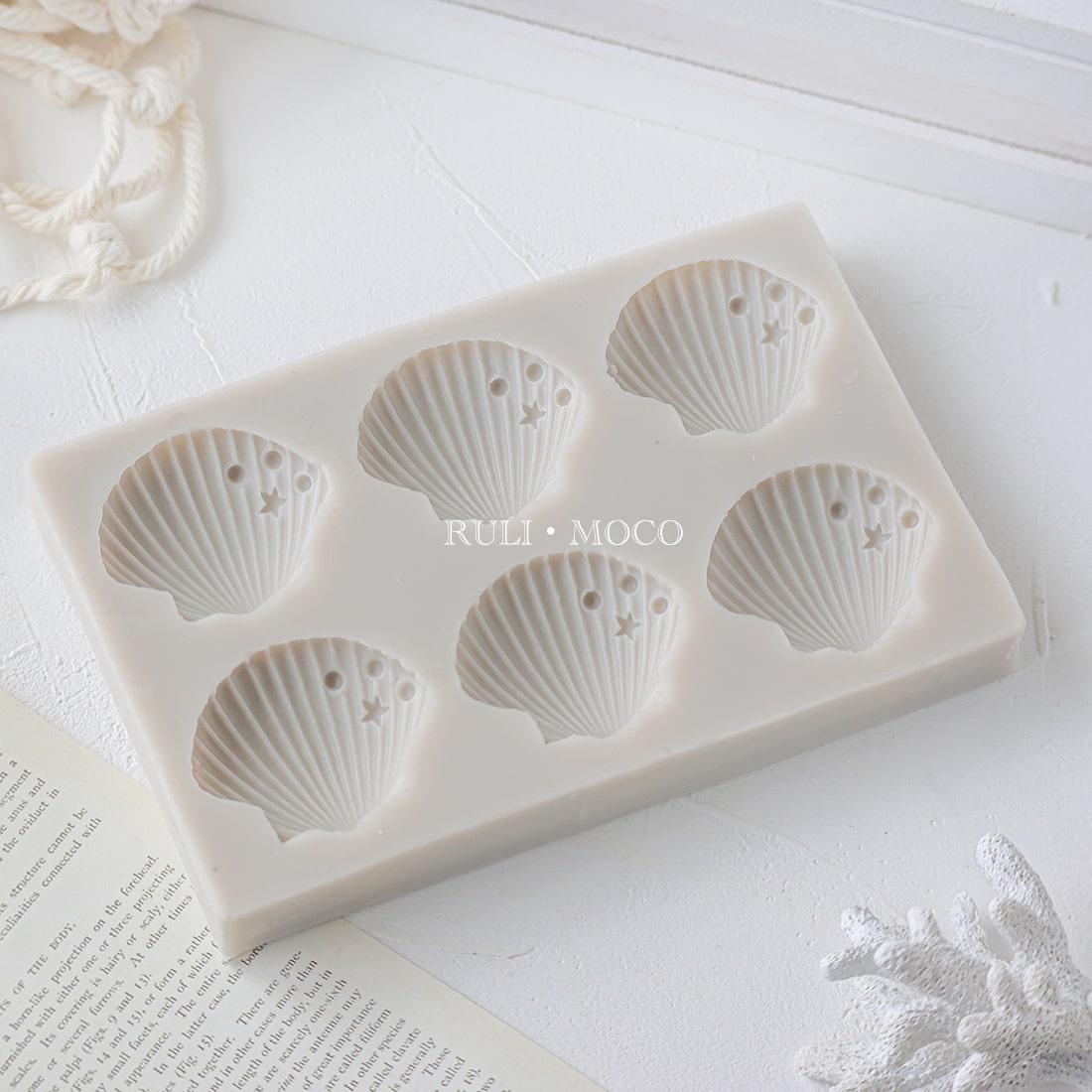 シェル(6個取り)