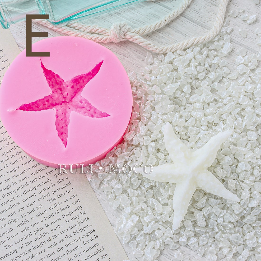 Shell (various types)