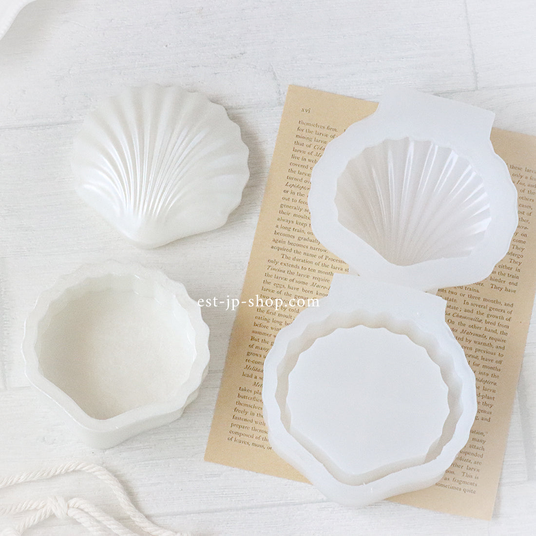 シェル型キャニスター(アウトレット)