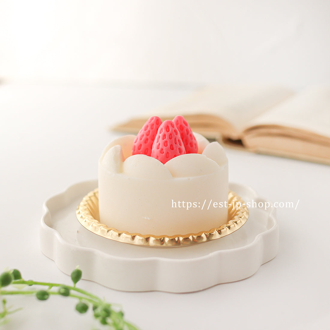 Medium Size Strawberry