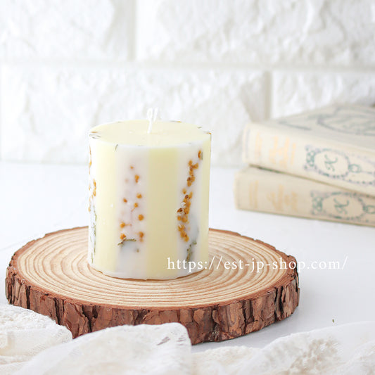 ストライプポリカーボネート(2タイプセット)