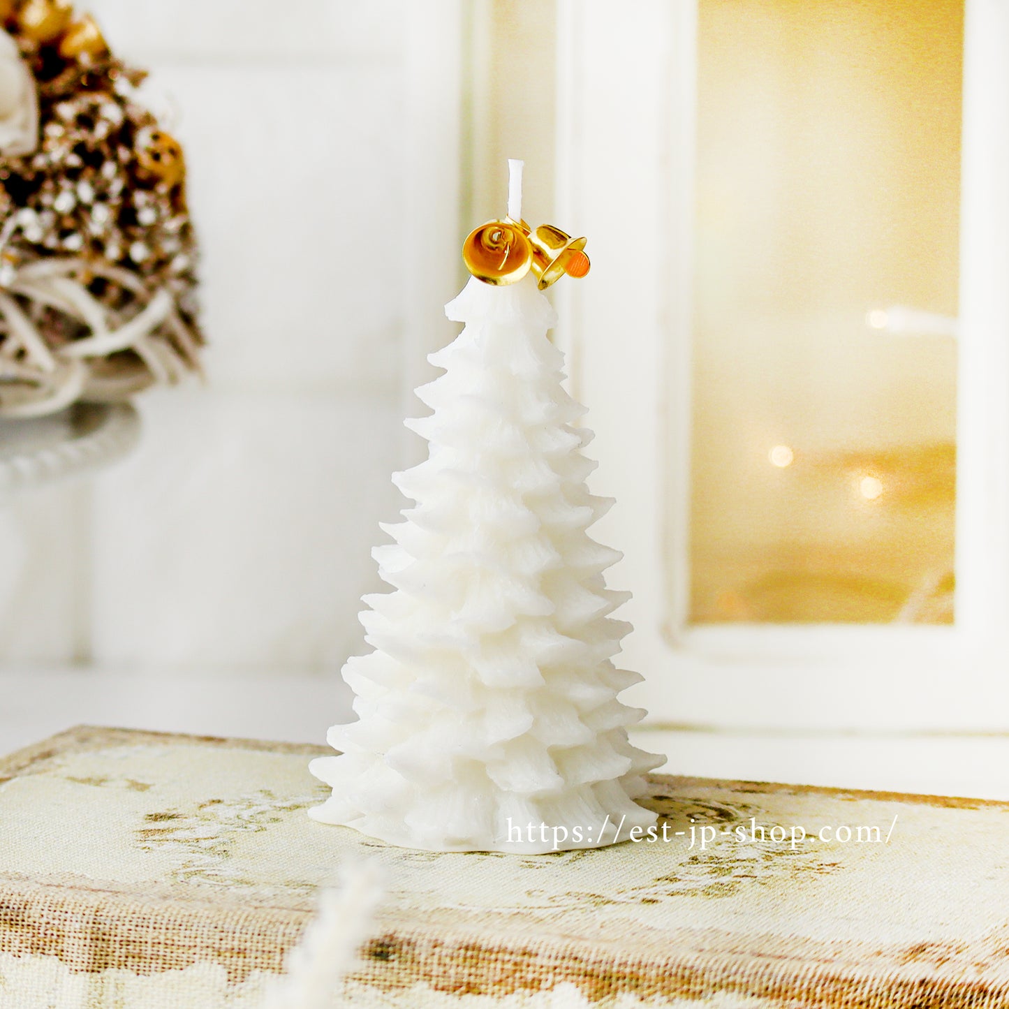 Fir Tree (Christmas Tree)