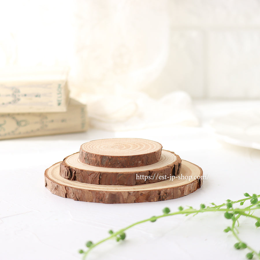 撮影用小物（切株）