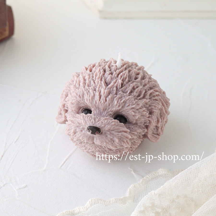 トイプードル（フェイス）