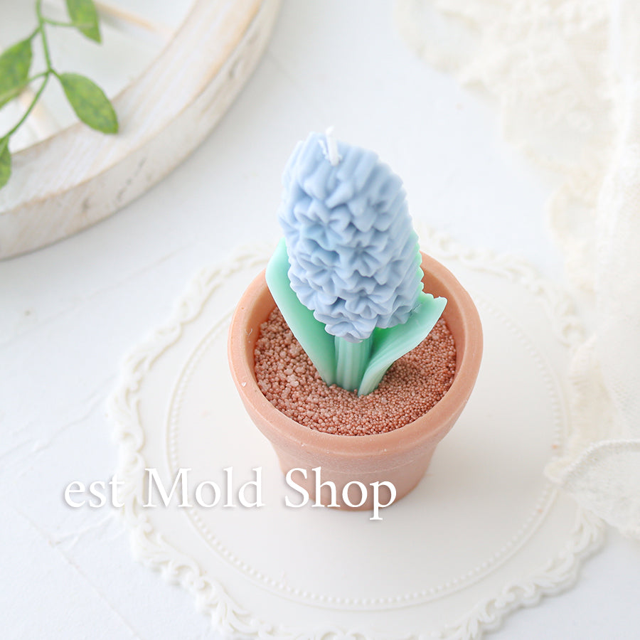 ガーデンフラワーズ