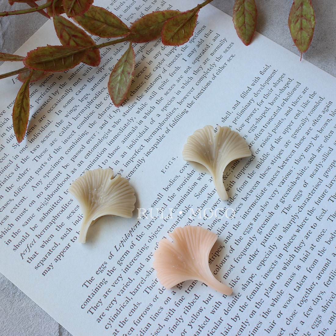 Ginkgo Leaves