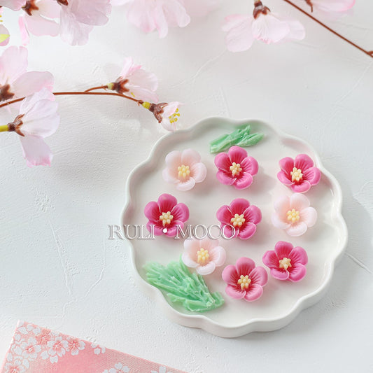 Plum Blossom