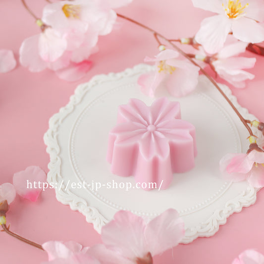 桜（シングル）【E】