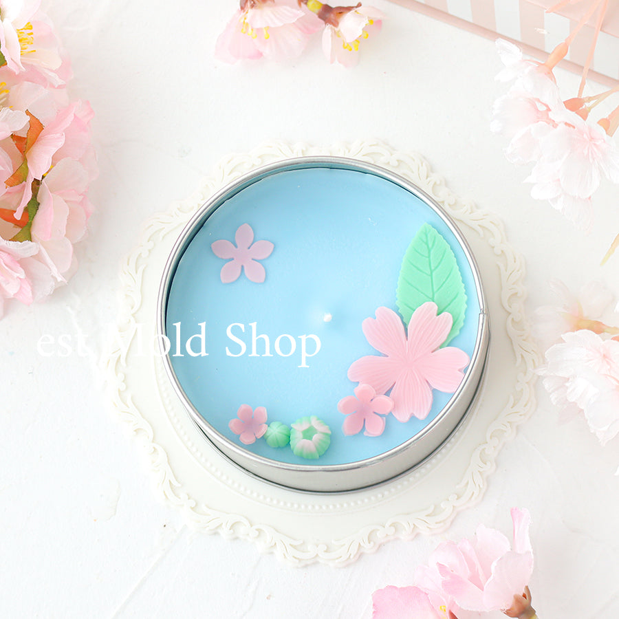 桜のつぼみと花