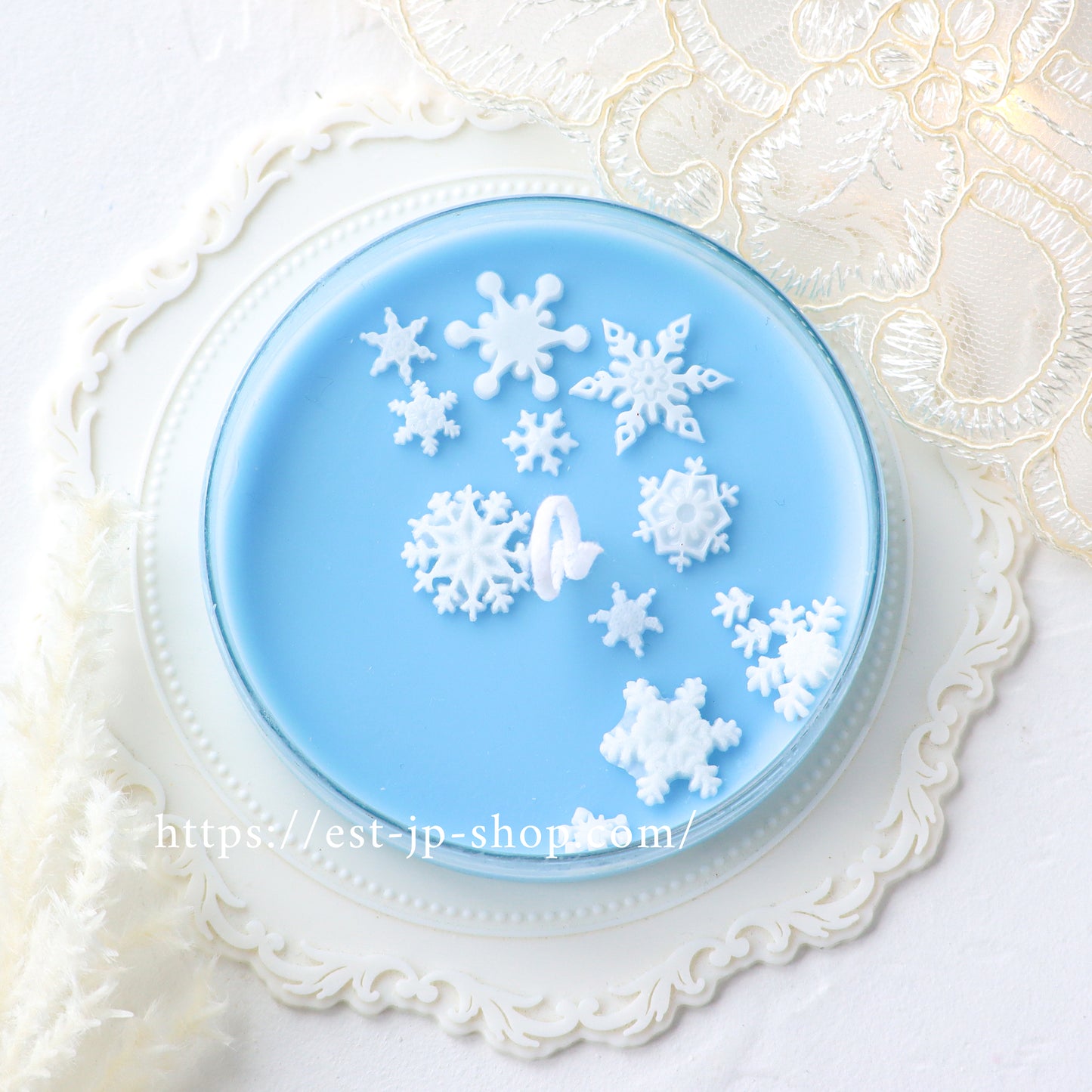 雪の結晶