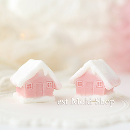 Snow House
