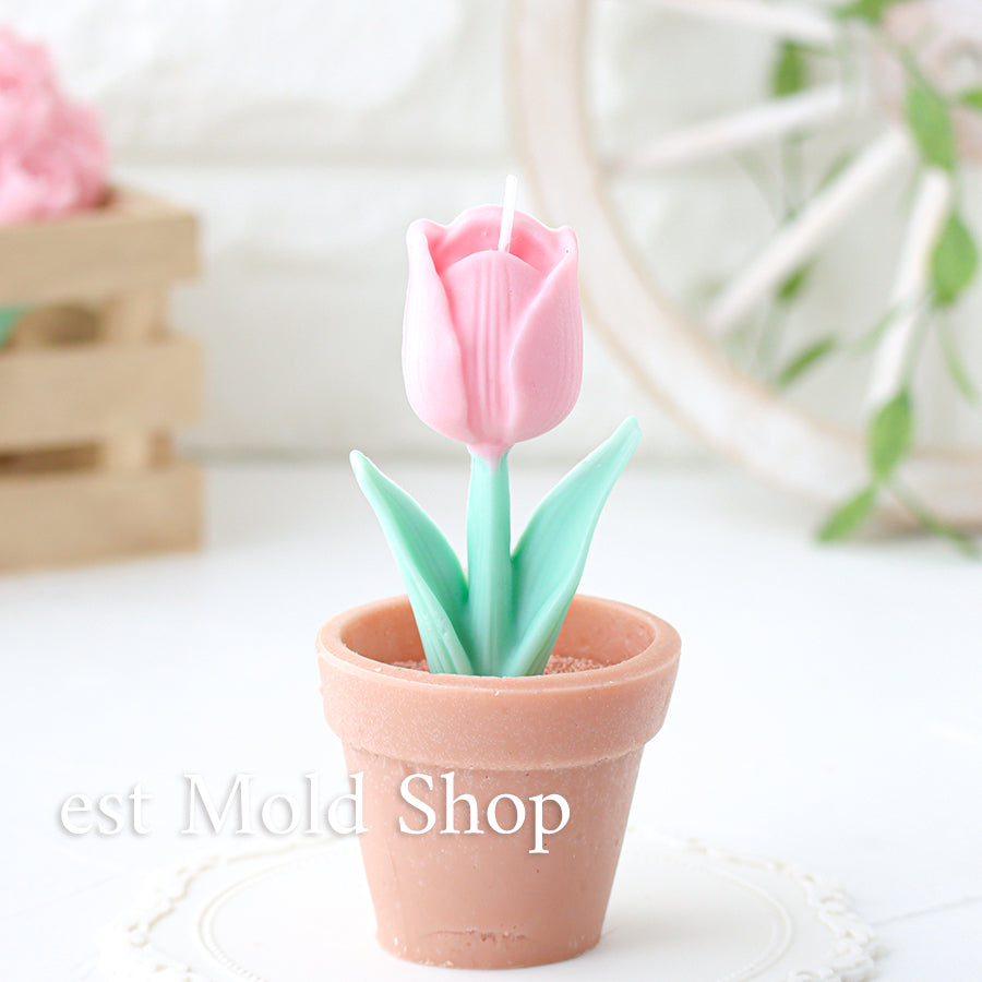 ガーデンフラワーズ